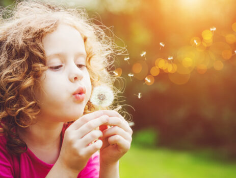 A little girl blowing a dandelion